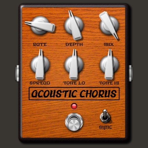 Acoustic Chorus