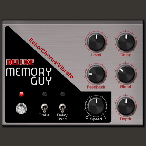 Memory Guy